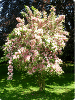 Coaching for Choice image